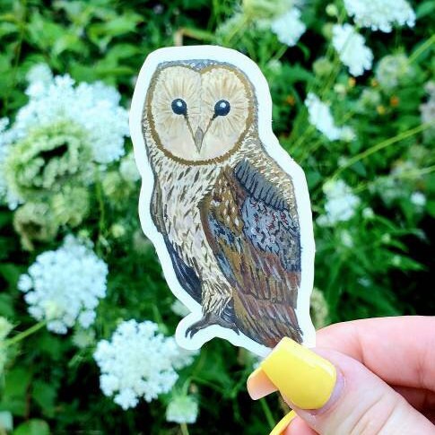 Owl Sticker