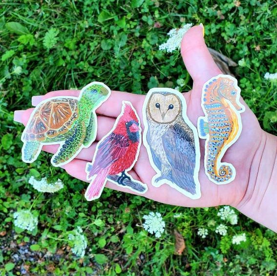 Owl Sticker