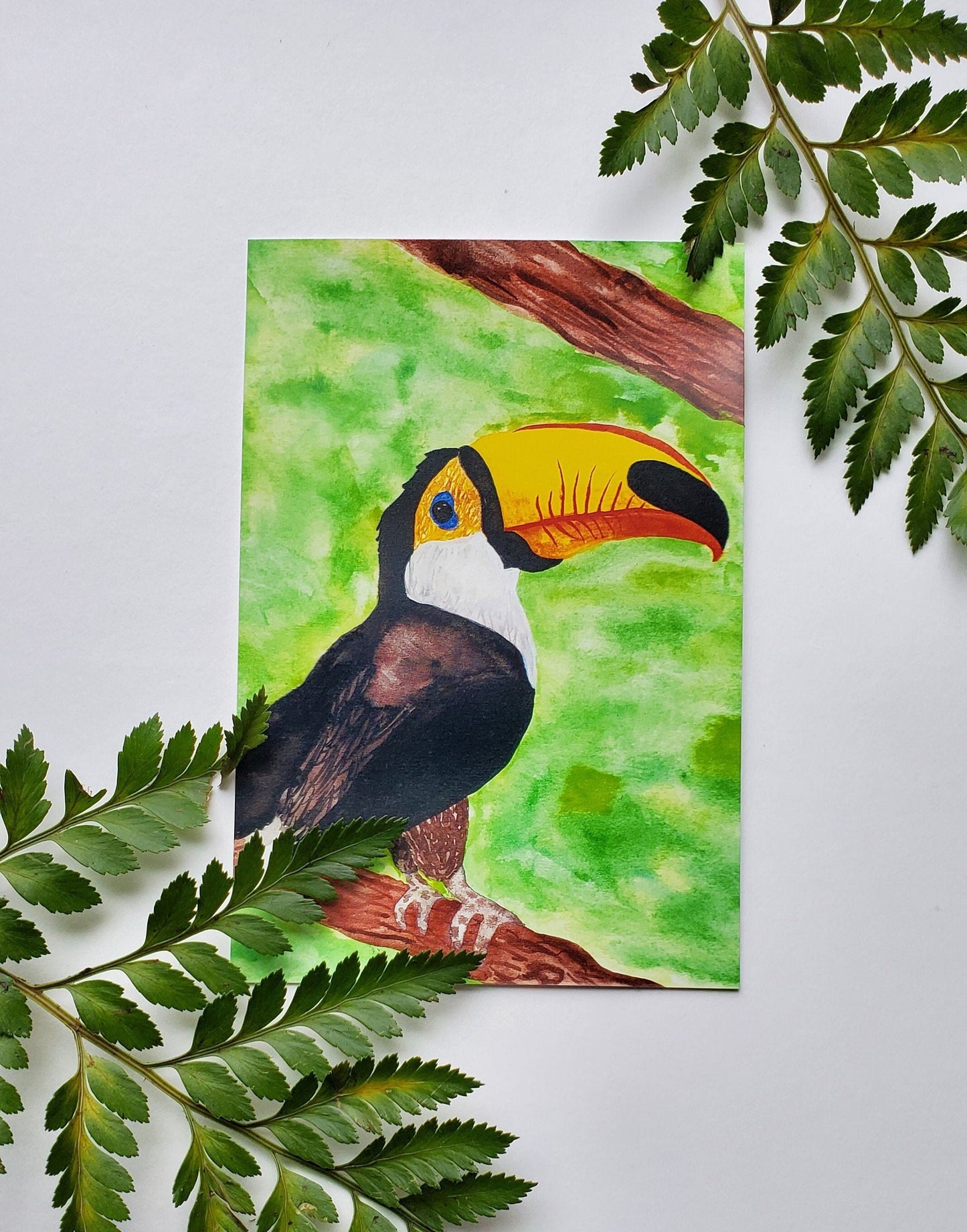 Toucan Print