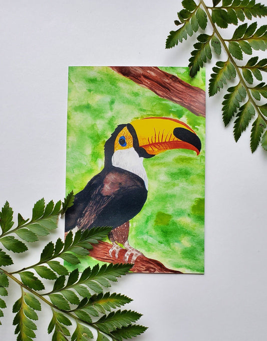 Toucan Print