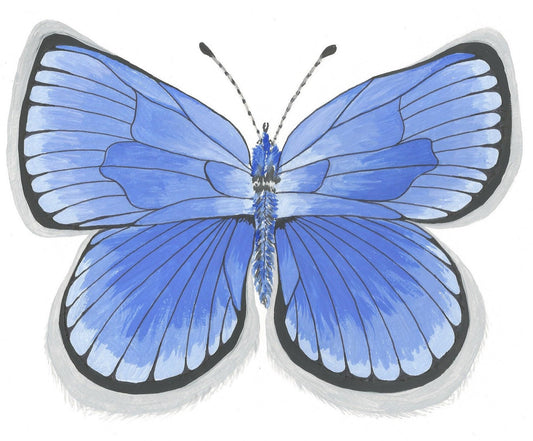 Cinderella Blue Butterfly Painting