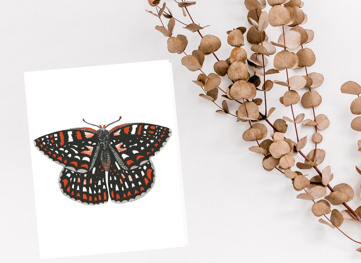 13 Butterfly Greeting Card Set