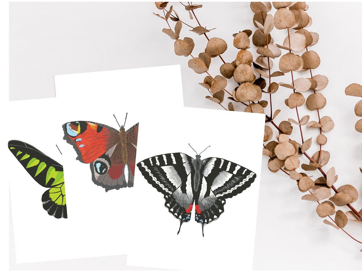 13 Butterfly Greeting Card Set
