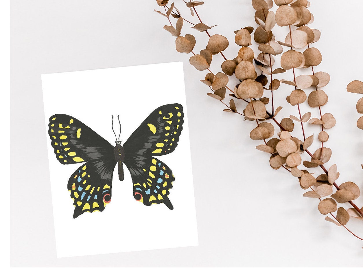 13 Butterfly Greeting Card Set