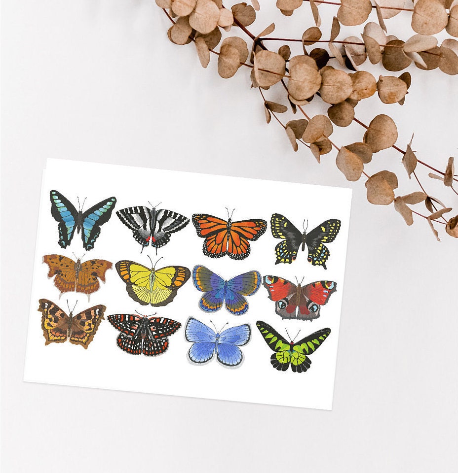 13 Butterfly Greeting Card Set