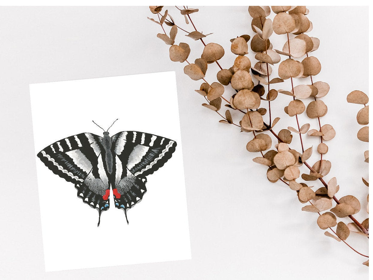 13 Butterfly Greeting Card Set
