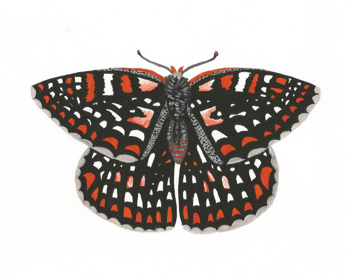 Quino Checkerspot Butterfly Painting