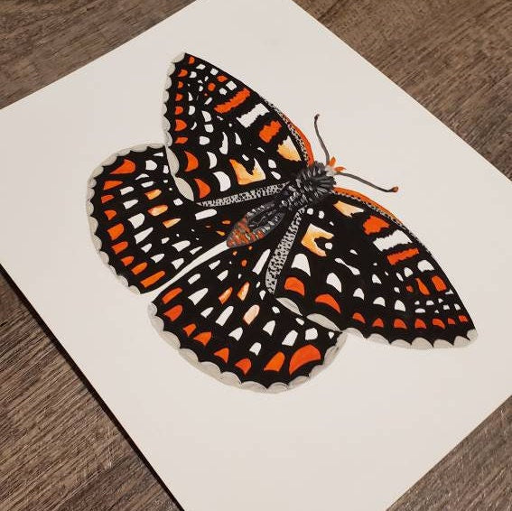 Quino Checkerspot Butterfly Painting