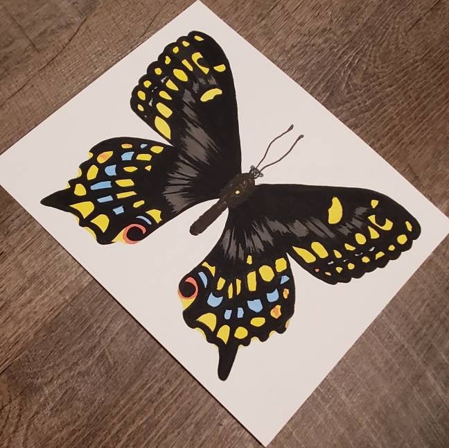 Short Tailed Swallowtail Butterfly Painting