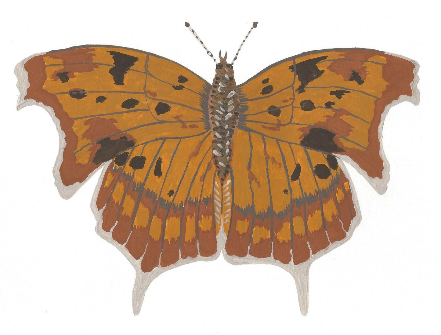 Question Mark Butterfly Painting