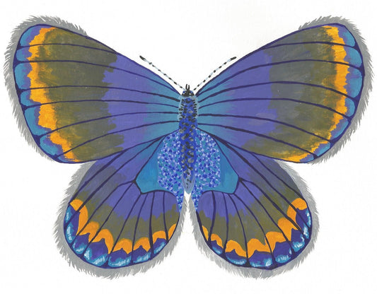 Karner Blue Butterfly Painting