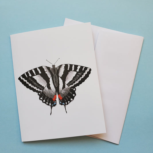 Zebra Tail Butterfly Greeting Card