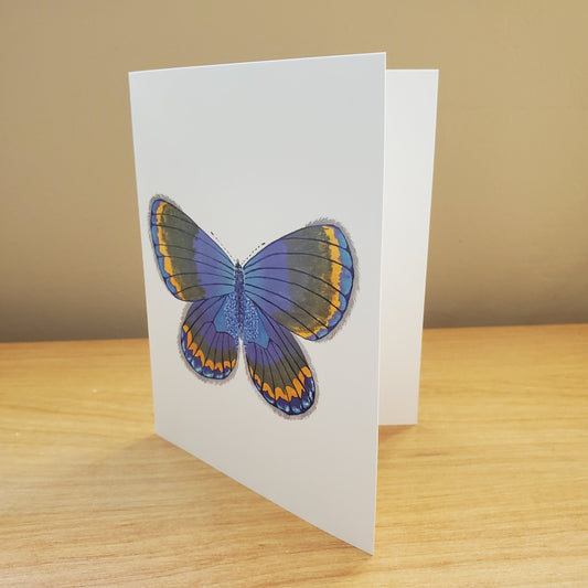 Karner Blue Butterfly Greeting Card