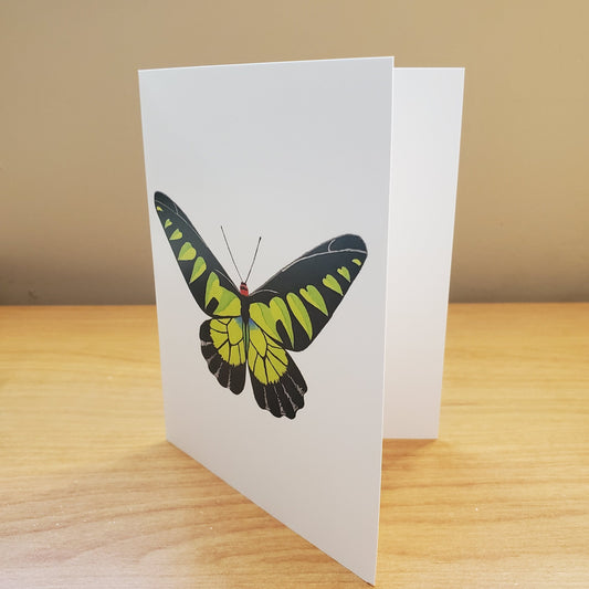 Rajah Brooke's Birdwing Butterfly Greeting Card