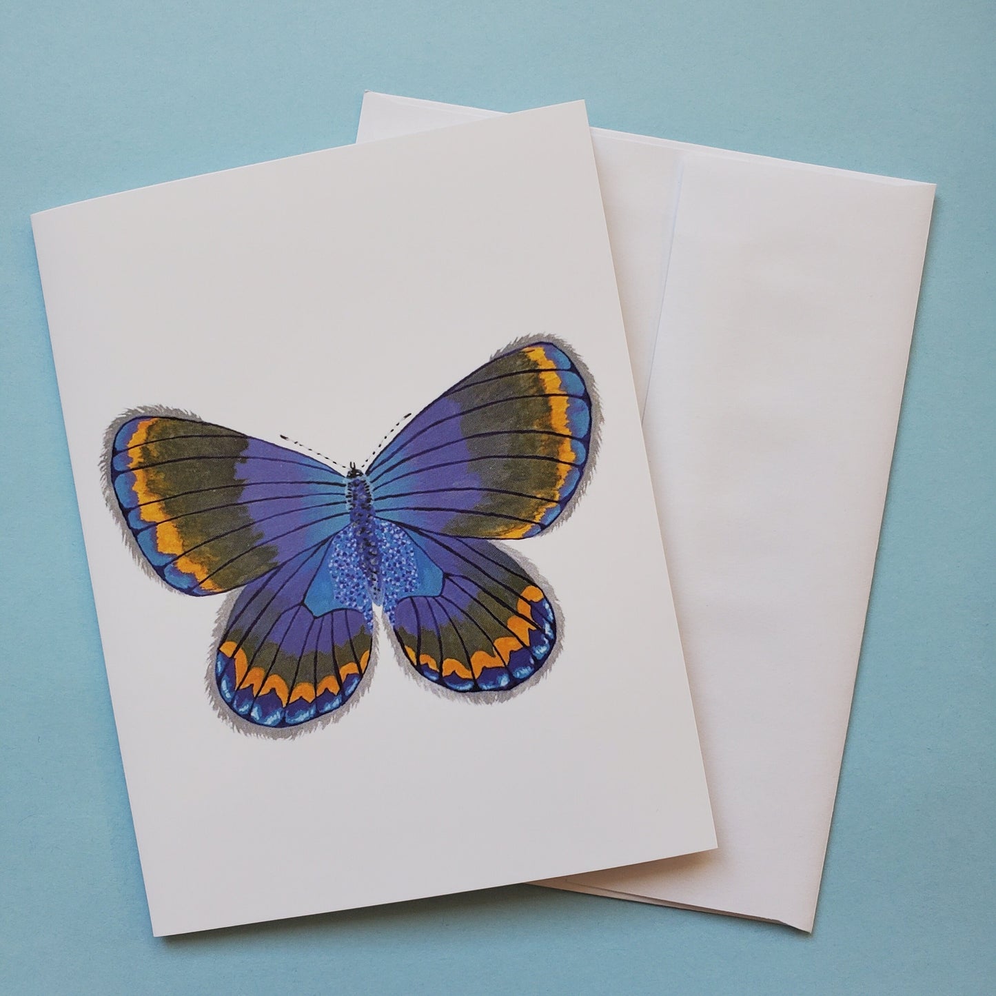 Karner Blue Butterfly Greeting Card