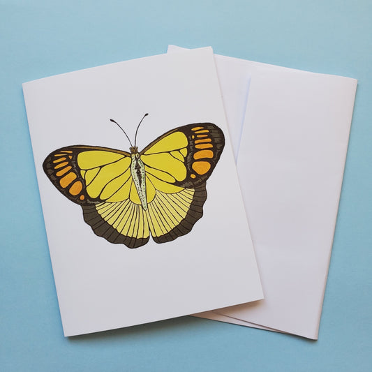 Yellow Orange Tip Butterfly Greeting Card