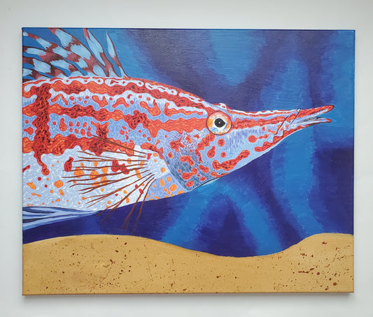 Longnose Hawkfish Painting