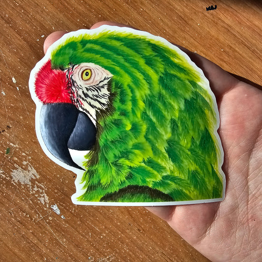 Green Military Macaw Sticker