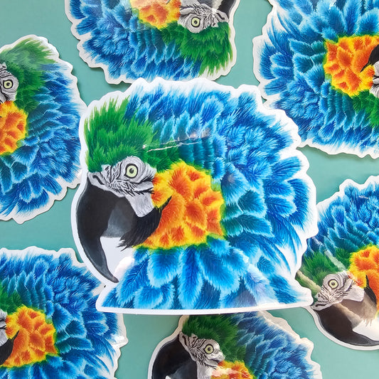 Blue and Gold Macaw Sticker