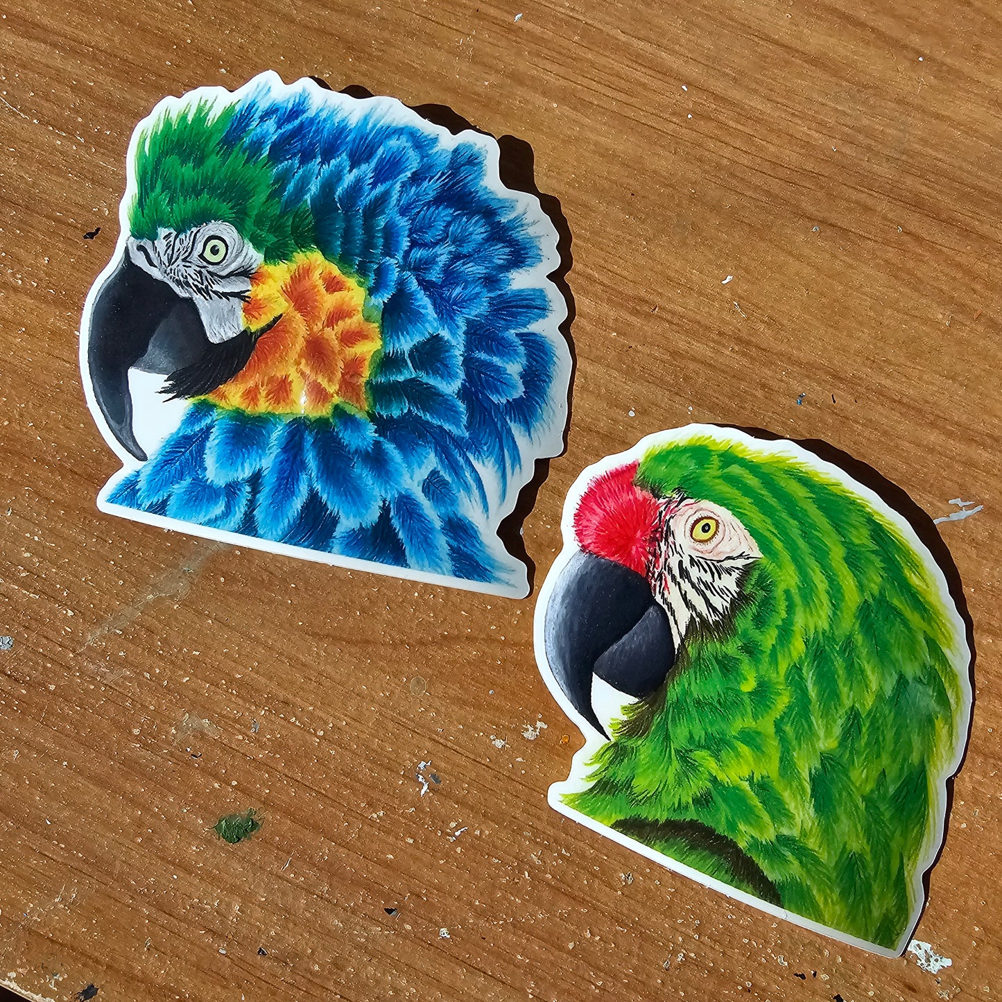 Green Military Macaw Sticker