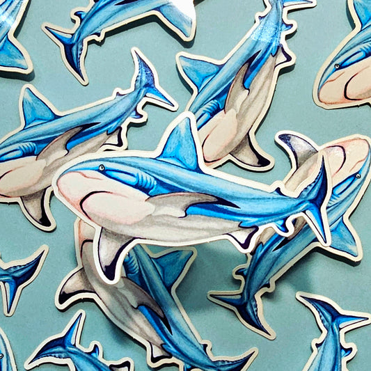 Reef Shark Sticker