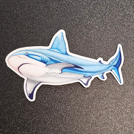 Reef Shark Sticker