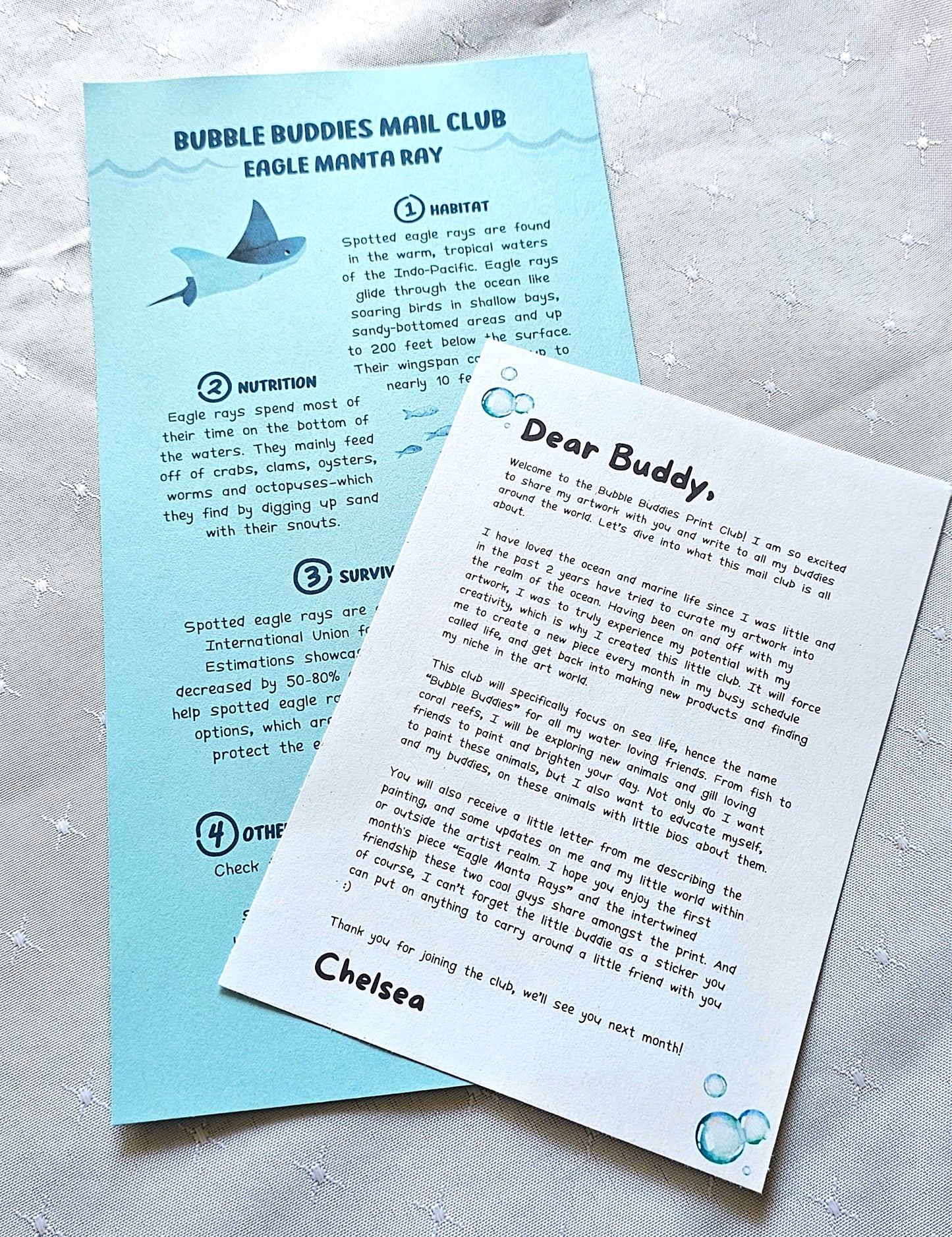 Spotted Eagle Ray- 1st Month of "Bubble Buddies Mail Club"
