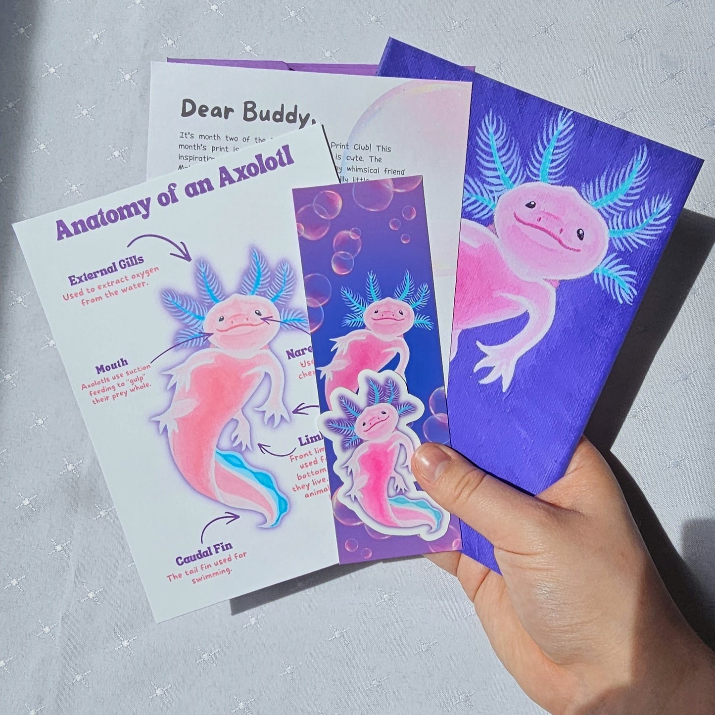 Bubble Buddies Monthly Print Club