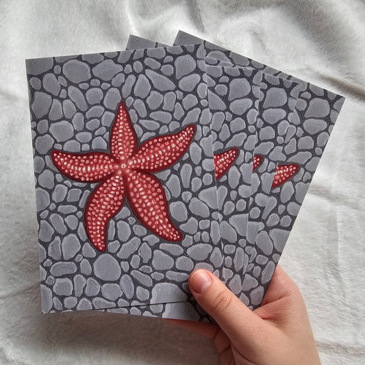 Starfish Print