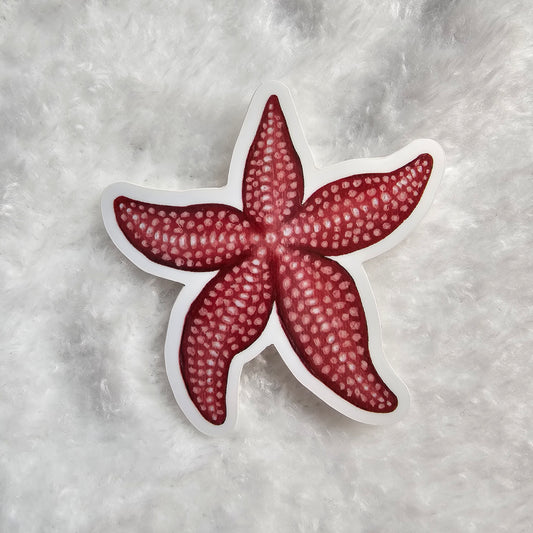 Starfish Sticker