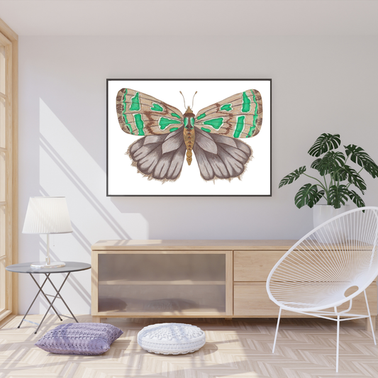 Marbled Green Leuconycta Moth Print