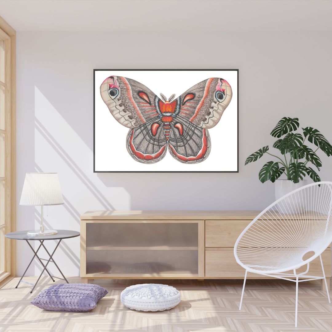 Cecropia Moth Print