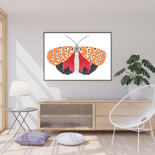 Ornate Bella Moth Print