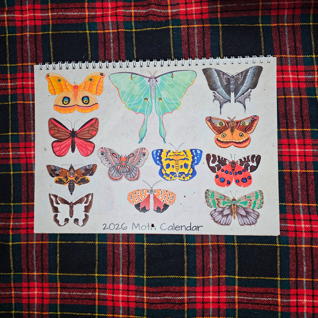 2026 Moth Calendar – Chelsea's Creations Art