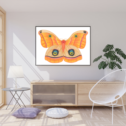 Polyphemus Moth Print