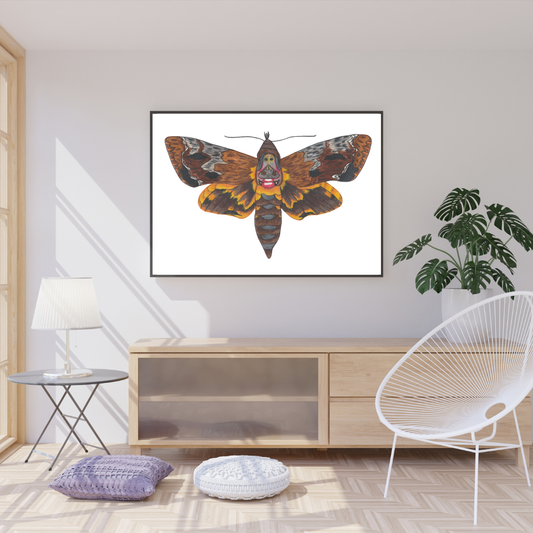 Death Head Moth Print