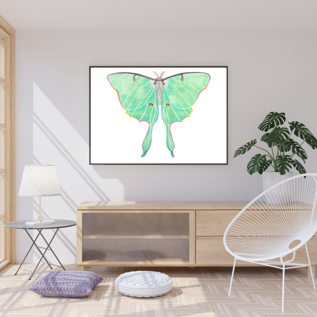 Luna Moth Print