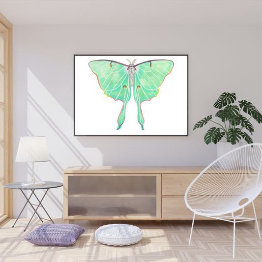 Luna Moth Print