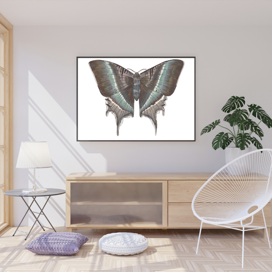 Tropical Swallowtail Moth Print
