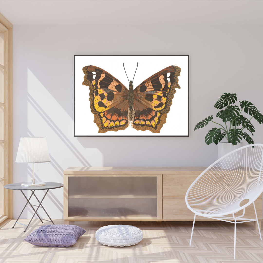 Compton Shell Butterfly Print