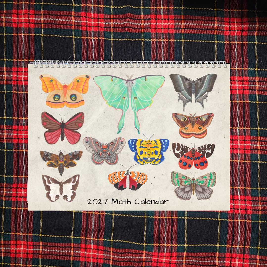 2027 Moth Calendar