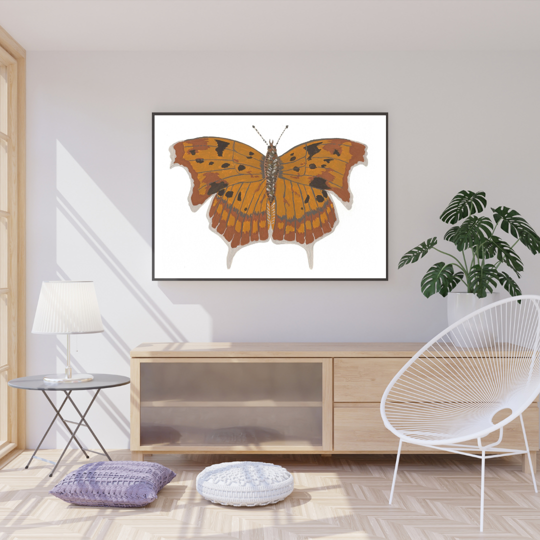 Question Mark Butterfly Print