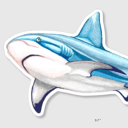 PRE-ORDER Reef Shark Sticker