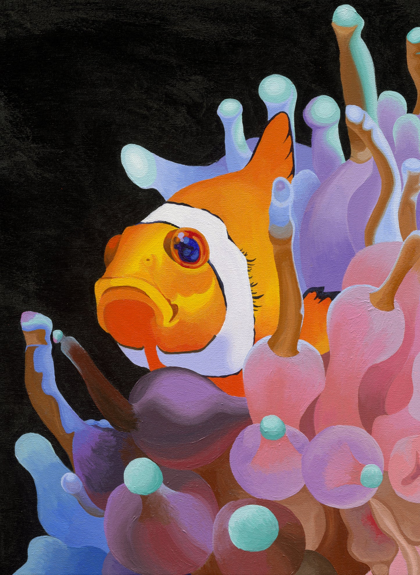Clownfish Puzzle