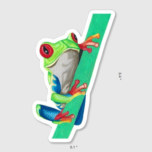 PRE-ORDER Red Eyed Tree Frog Sticker