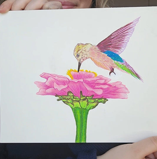Hummingbird