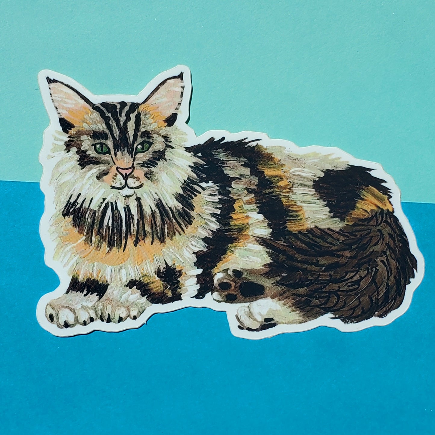 Maine Coon Cat Sticker