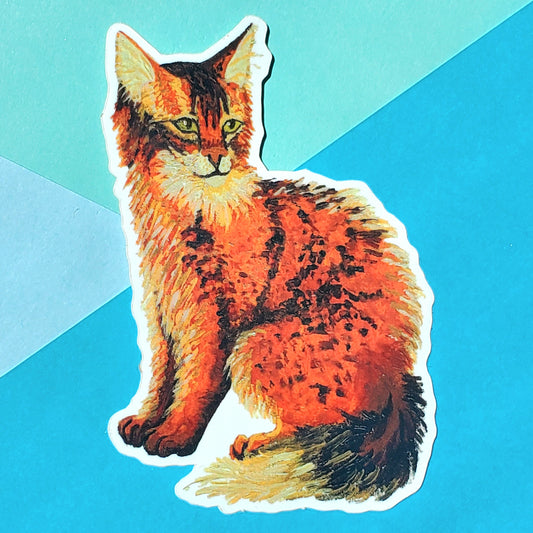 Somali Cat Sticker