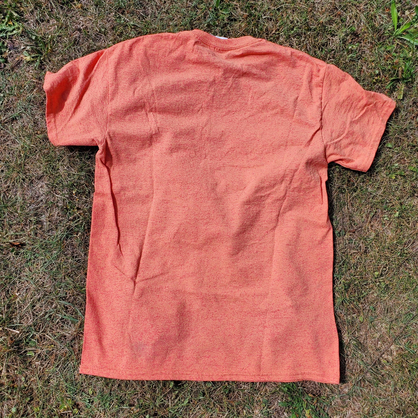 Orange Birthday Seal Shirt