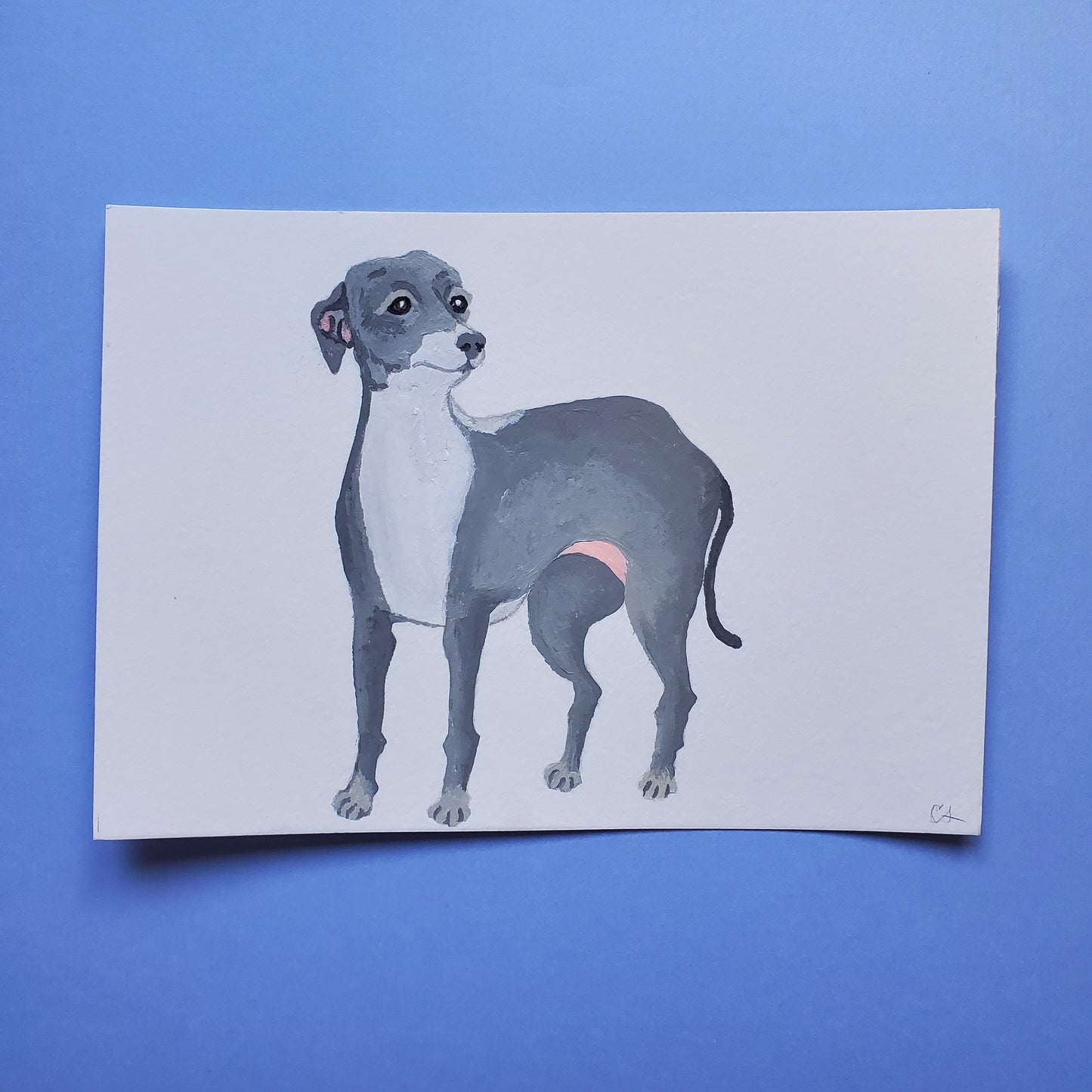 Italian Greyhound Painting, Kermit Painting